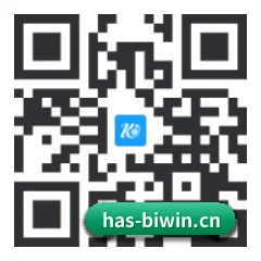 系统版 iOS 二维码